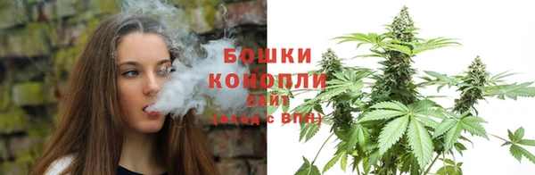 бошки Козельск
