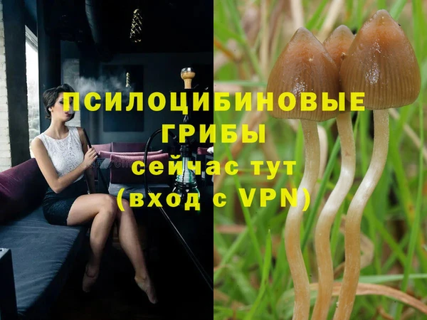 МДМА Кинешма