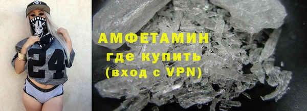 индика Ладушкин