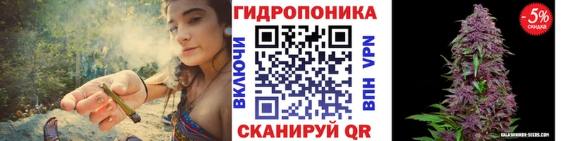 omg как войти Шацк Конопля White Widow наркошоп